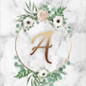 Meet your Posher, Aerionnag